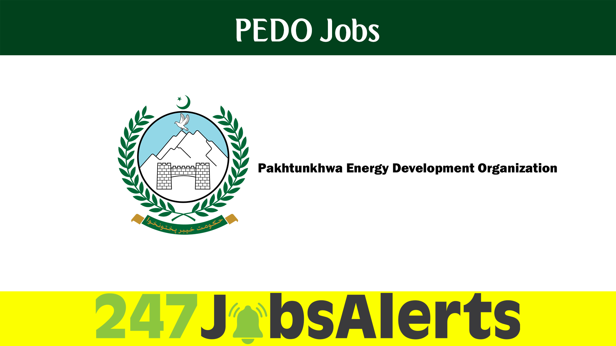 PEDO Jobs